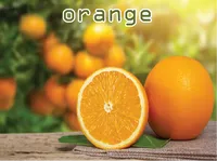Định nghĩa & cách phát âm từ orange