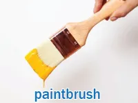 Định nghĩa & cách phát âm từ paintbrush