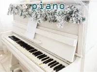 Định nghĩa & cách phát âm từ piano