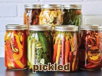 Định nghĩa & cách phát âm từ pickled