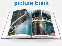 Định nghĩa & cách phát âm từ picture book
