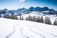 Định nghĩa & cách phát âm từ piste