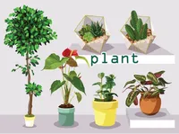 Định nghĩa & cách phát âm từ plant
