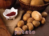 Định nghĩa & cách phát âm từ potato