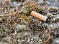 Định nghĩa & cách phát âm từ promptly