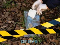 Định nghĩa & cách phát âm từ prove
