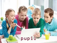 Định nghĩa & cách phát âm từ pupil