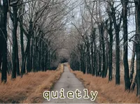 Định nghĩa & cách phát âm từ quietly