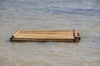Định nghĩa & cách phát âm từ raft