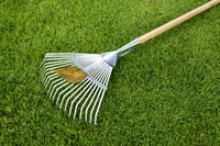 Định nghĩa & cách phát âm từ rake