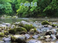 Định nghĩa & cách phát âm từ rapid