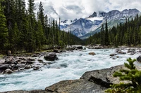 Định nghĩa & cách phát âm từ rapids