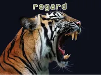 Định nghĩa & cách phát âm từ regard