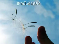 Định nghĩa & cách phát âm từ release