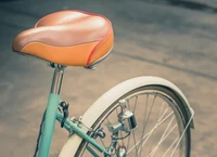 Định nghĩa & cách phát âm từ saddle