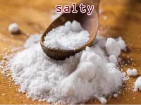 Định nghĩa & cách phát âm từ salty