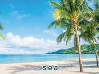 Định nghĩa & cách phát âm từ sea