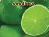 Định nghĩa & cách phát âm từ seedless
