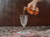 Định nghĩa & cách phát âm từ servant