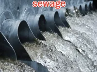 Định nghĩa & cách phát âm từ sewage