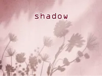 Định nghĩa & cách phát âm từ shadow