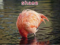 Định nghĩa & cách phát âm từ shame