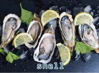 Định nghĩa & cách phát âm từ shell