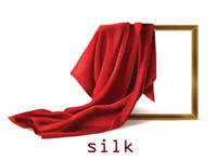 Định nghĩa & cách phát âm từ silk