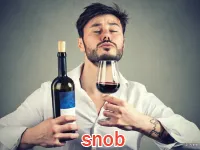 Định nghĩa & cách phát âm từ snob