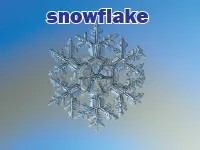 Định nghĩa & cách phát âm từ snowflake