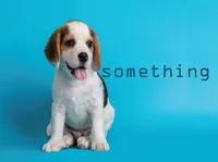 Định nghĩa & cách phát âm từ something