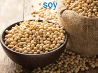 Định nghĩa & cách phát âm từ soy