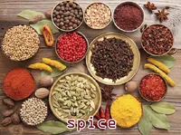 Định nghĩa & cách phát âm từ spice