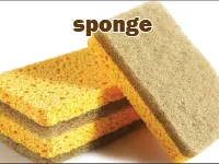 Định nghĩa & cách phát âm từ sponge