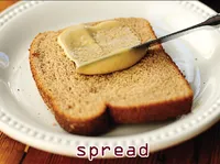 Định nghĩa & cách phát âm từ spread
