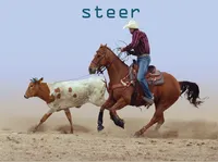 Định nghĩa & cách phát âm từ steer