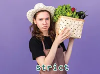 Định nghĩa & cách phát âm từ strict