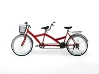 Định nghĩa & cách phát âm từ tandem