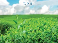 Định nghĩa & cách phát âm từ tea