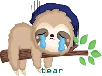 Định nghĩa & cách phát âm từ tear