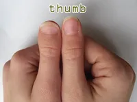 Định nghĩa & cách phát âm từ thumb