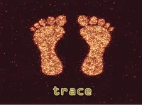 Định nghĩa & cách phát âm từ trace