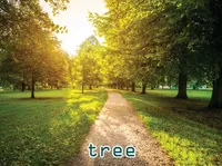 Định nghĩa & cách phát âm từ tree