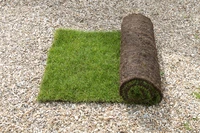 Định nghĩa & cách phát âm từ turf
