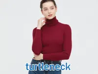 Định nghĩa & cách phát âm từ turtleneck