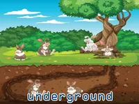 Định nghĩa & cách phát âm từ underground