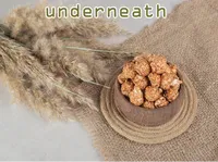 Định nghĩa & cách phát âm từ underneath