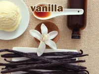 Định nghĩa & cách phát âm từ vanilla