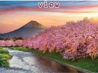 Định nghĩa & cách phát âm từ view