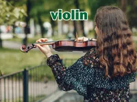 Định nghĩa & cách phát âm từ violin